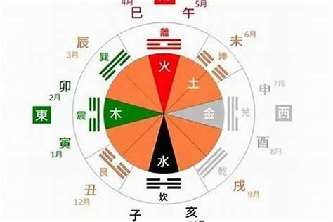 2024金木水火土|2024金木水火土查询表，掌握属于你的五行属性！